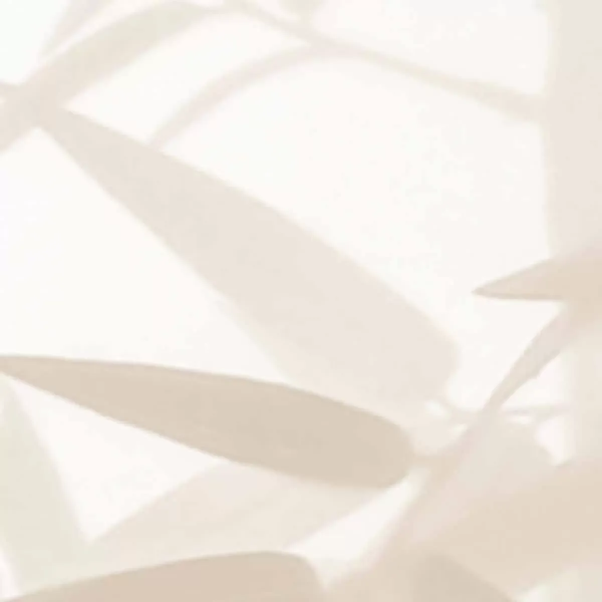 Illustration numéro 3 du produit Papier peint panoramique ombres bambous beige 450x250cm