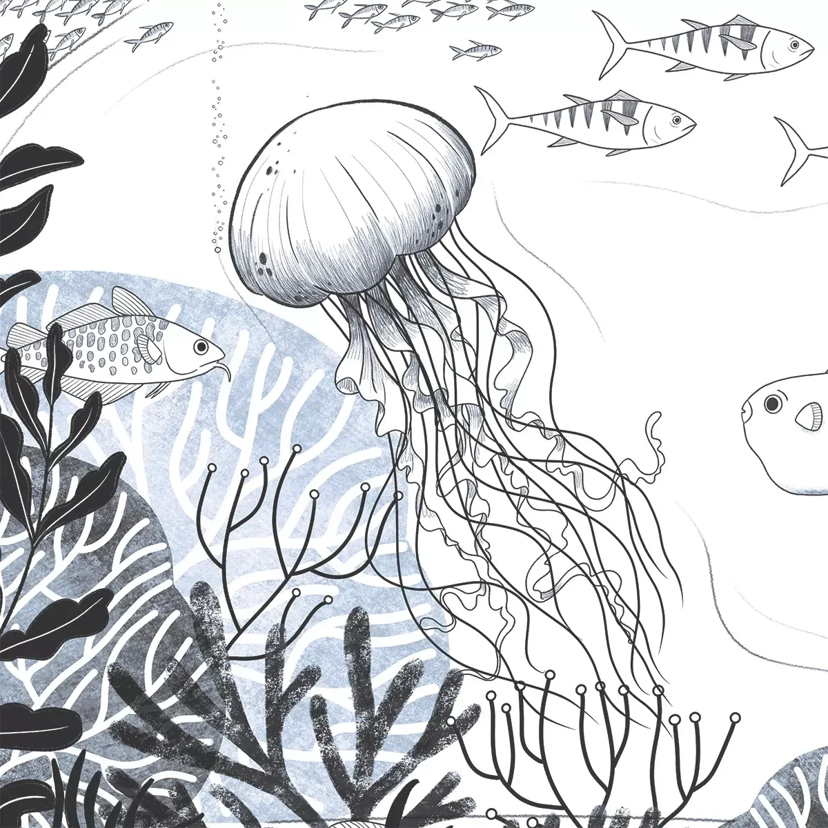 Illustration numéro 3 du produit Papier peint panoramique enfant océan blanc 525x250cm