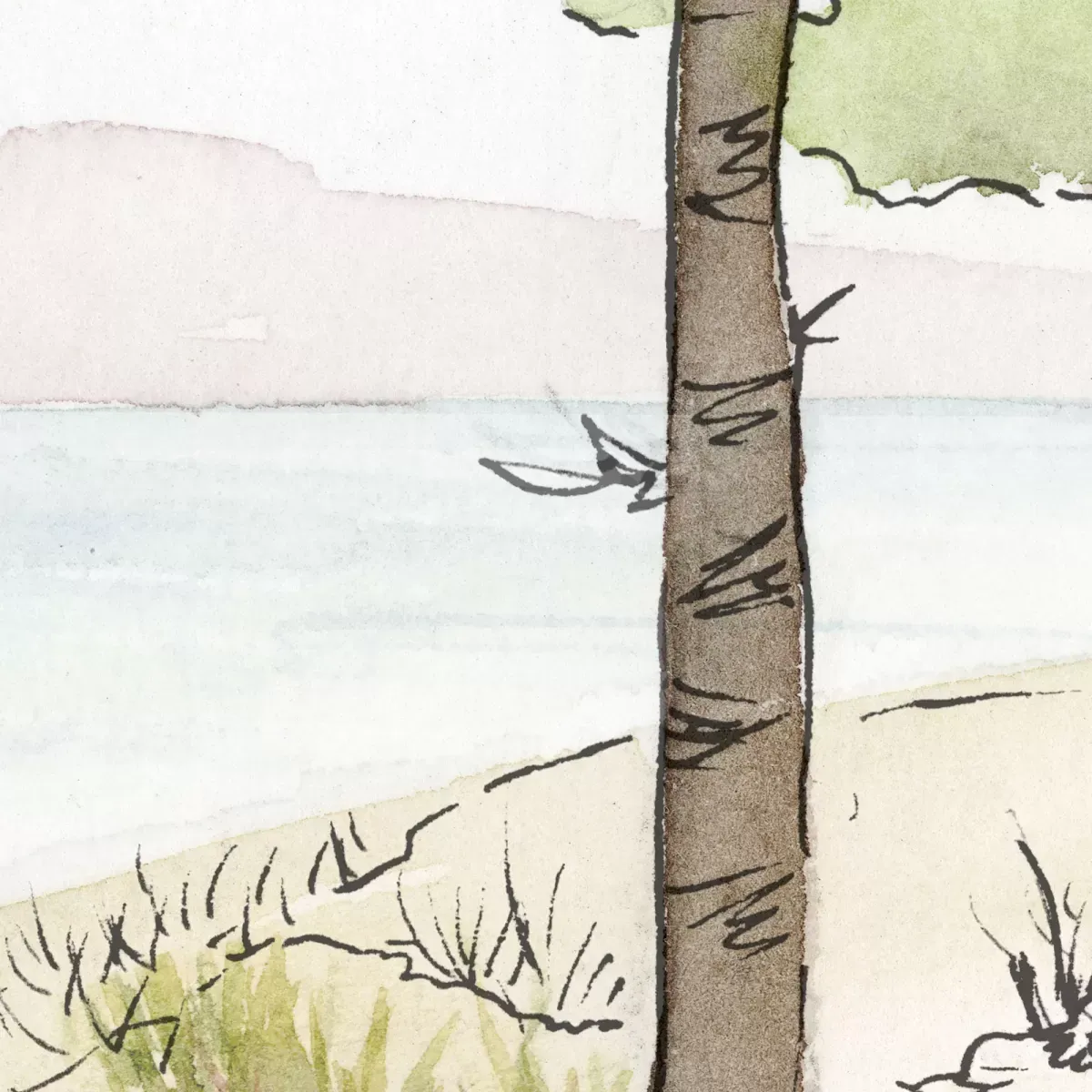 Illustration numéro 3 du produit Papier peint panoramique paysage vue des pins couleurs 225x250cm