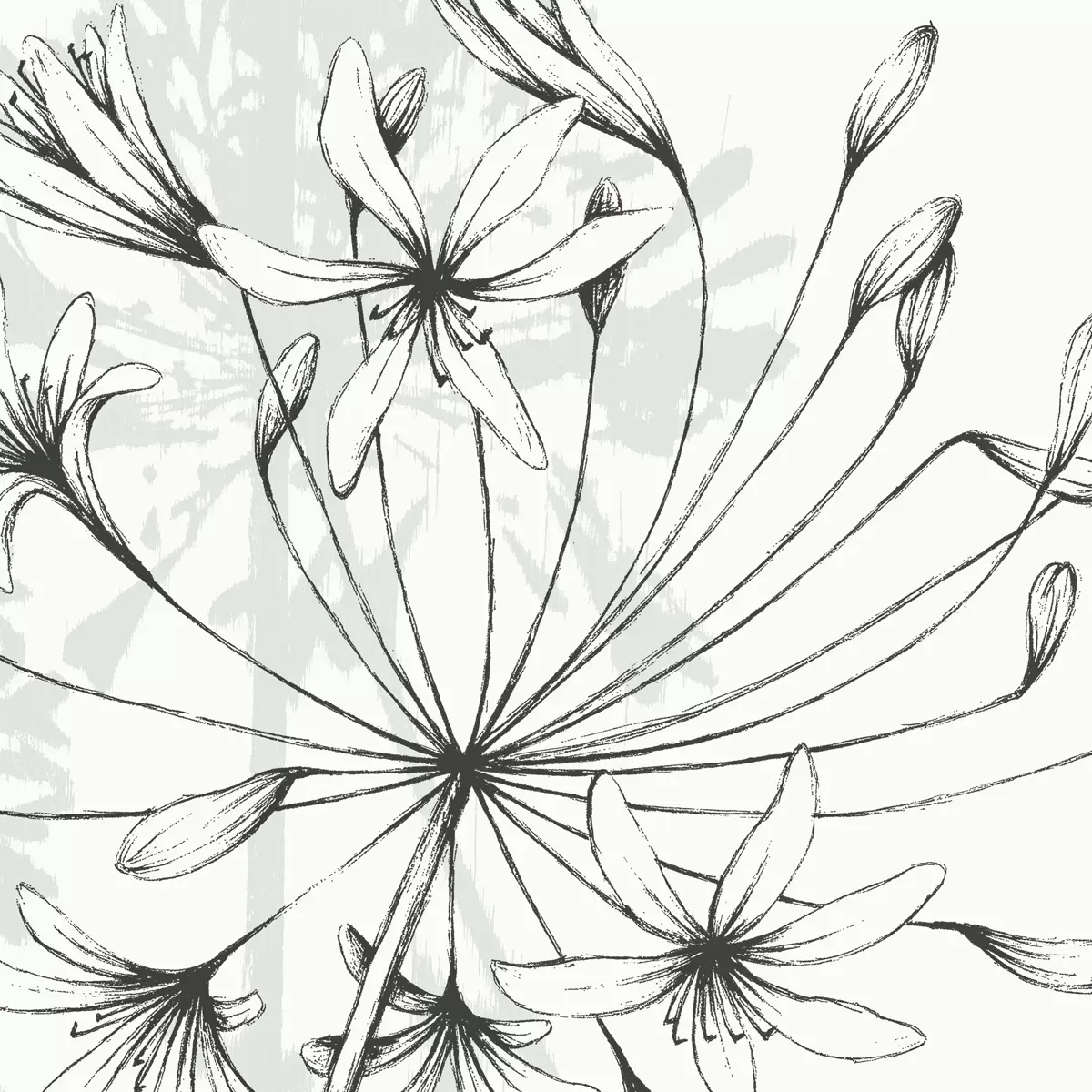 Illustration numéro 3 du produit Papier peint panoramique agapanthes couleurs 300x250cm