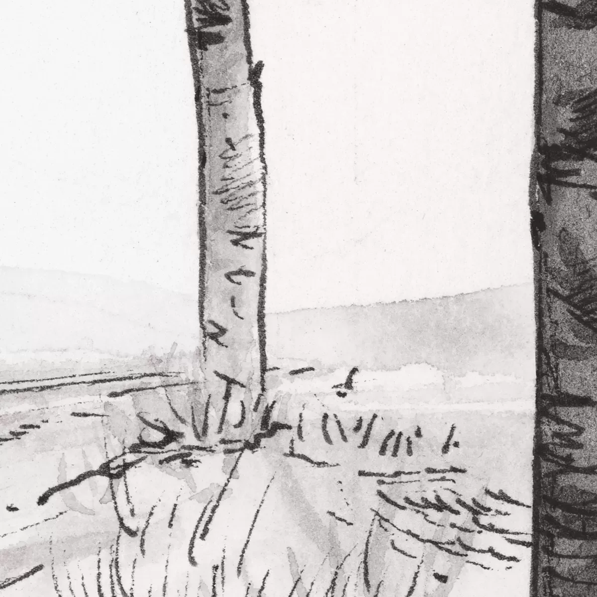 Illustration numéro 3 du produit Papier peint panoramique paysage forêt de bouleau noir et blanc 375x25