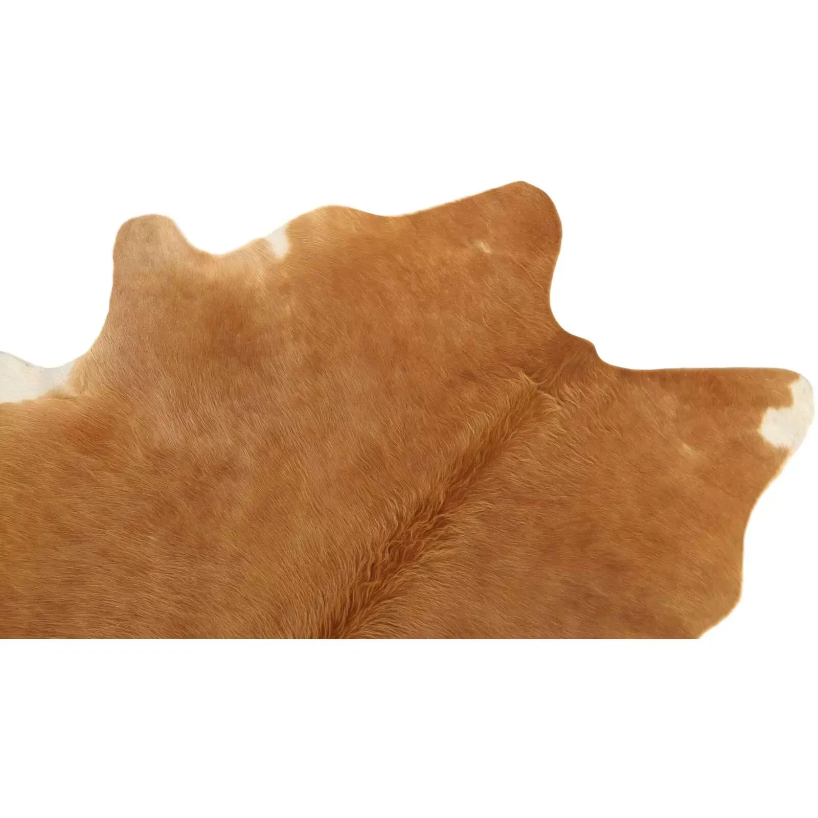 Illustration numéro 3 du produit Tapis peau naturelle Cuir Marron