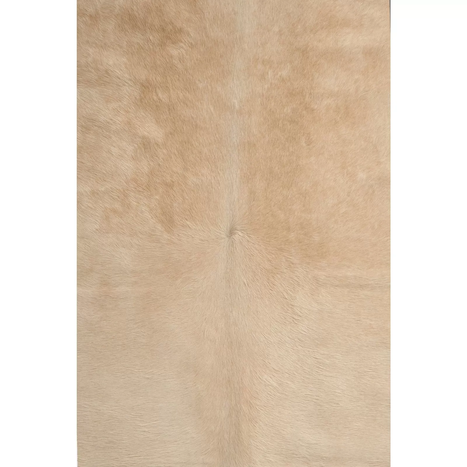 Illustration numéro 3 du produit Tapis peau naturelle Cuir Blanc