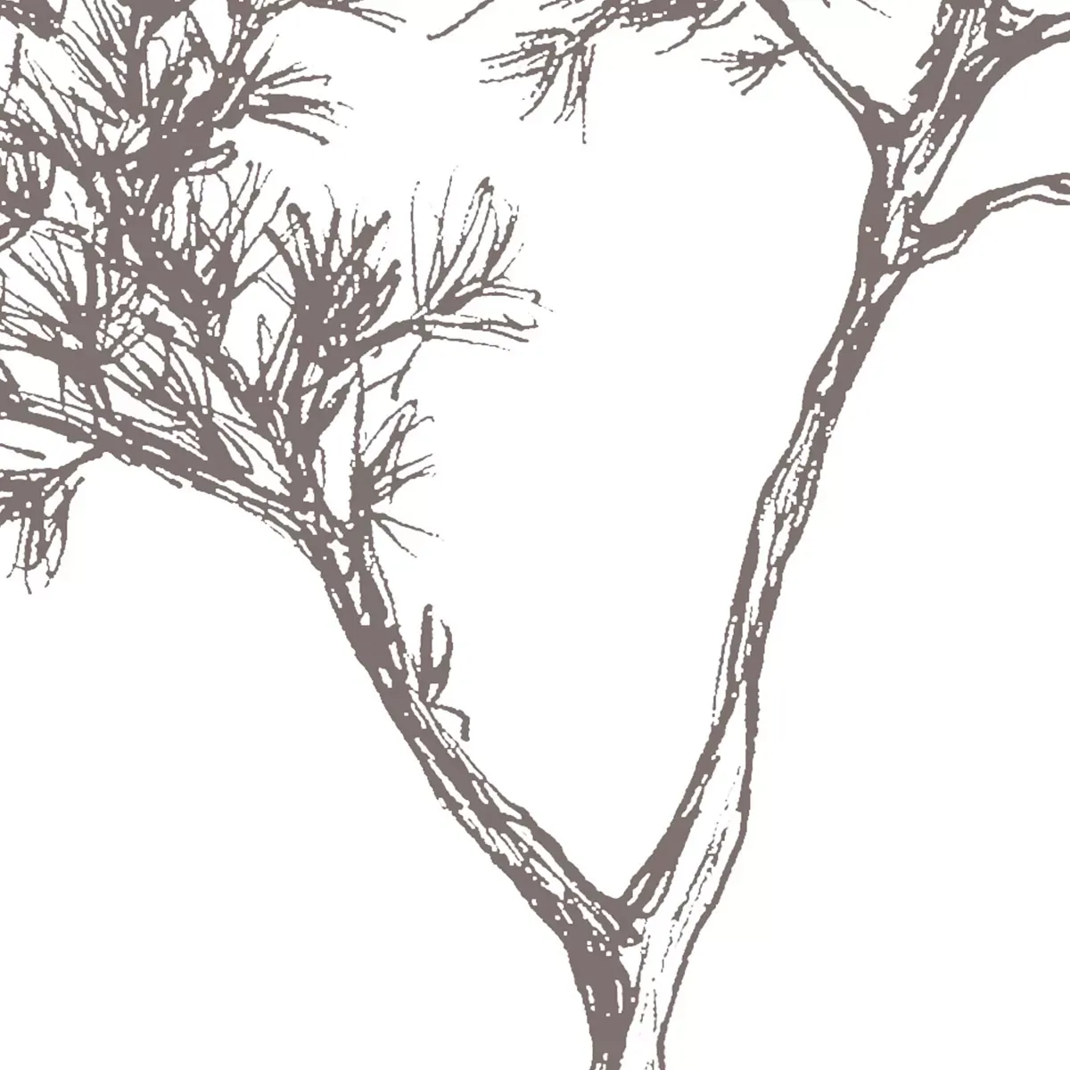 Illustration numéro 3 du produit Papier peint panoramique balade en bord de mer brun 450x250cm