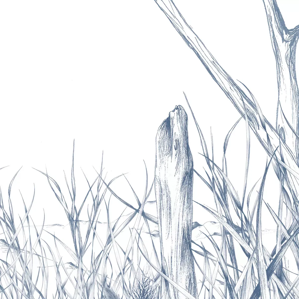 Illustration numéro 3 du produit Papier peint panoramique côtes sauvages bleu 300x250cm