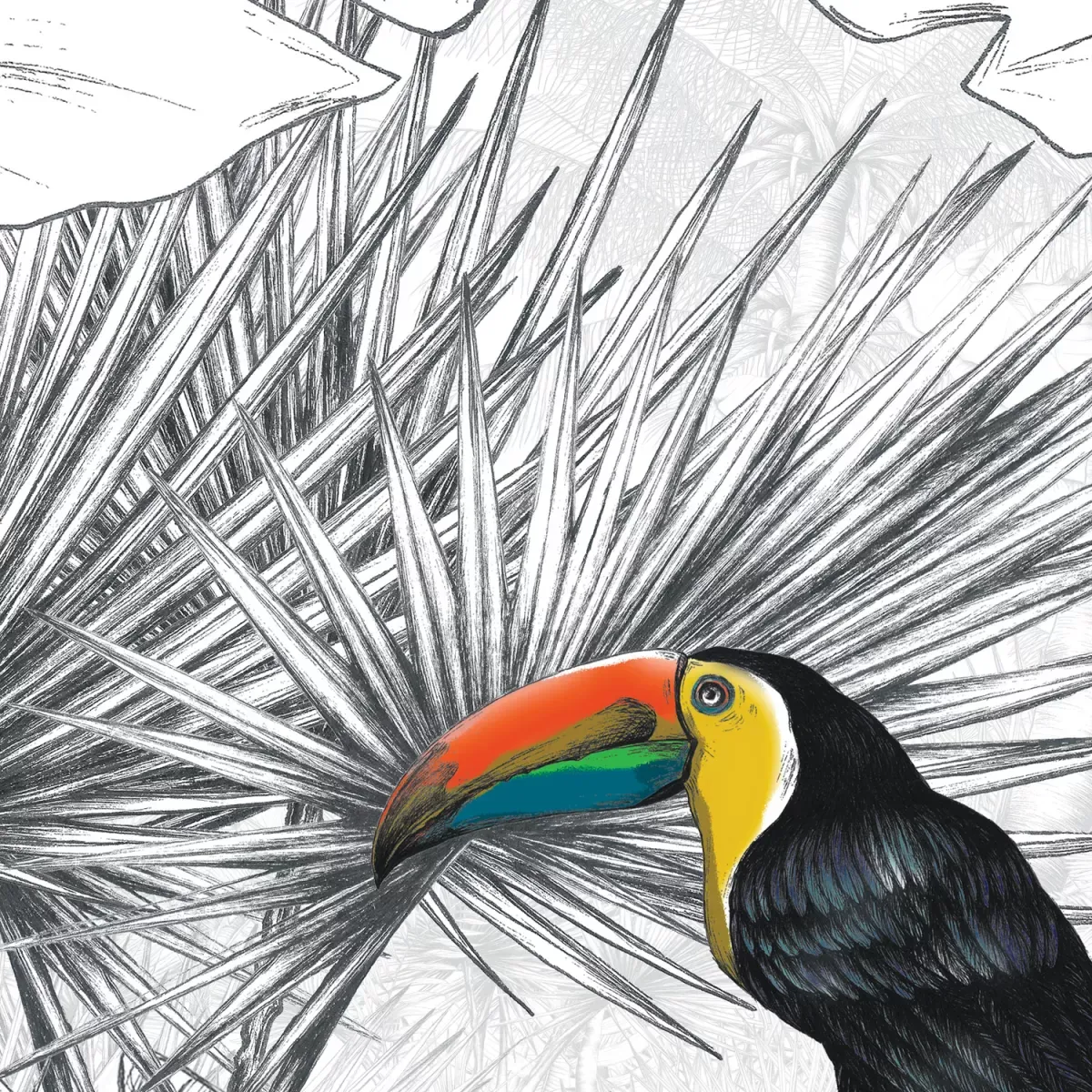 Illustration numéro 3 du produit Papier peint panoramique paysage tropical couleurs 450x250cm