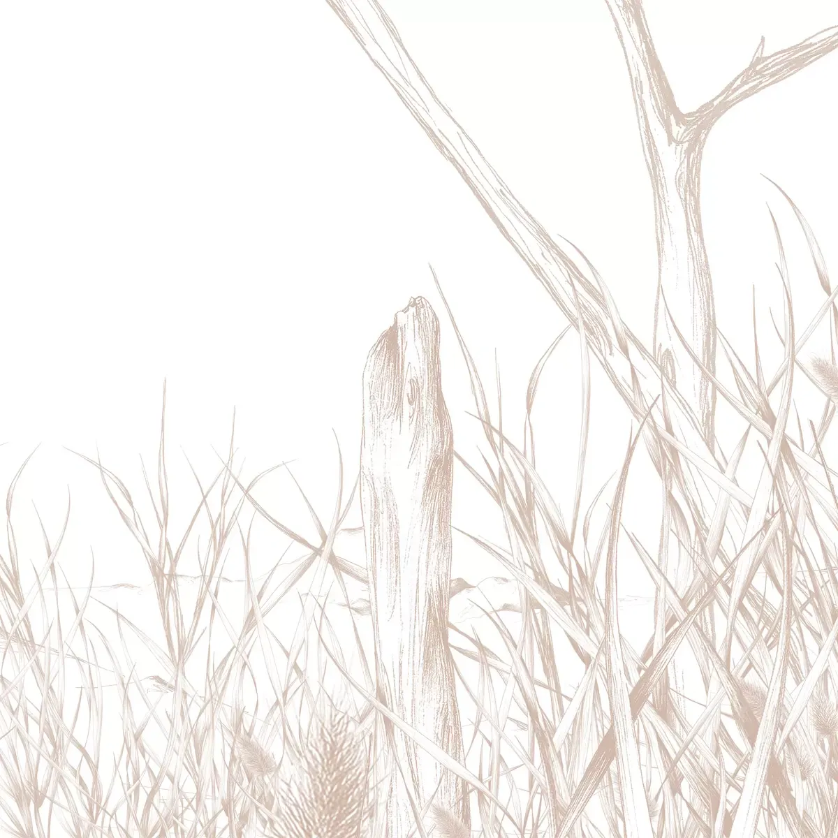 Illustration numéro 3 du produit Papier peint panoramique côtes sauvages beige 300x250cm