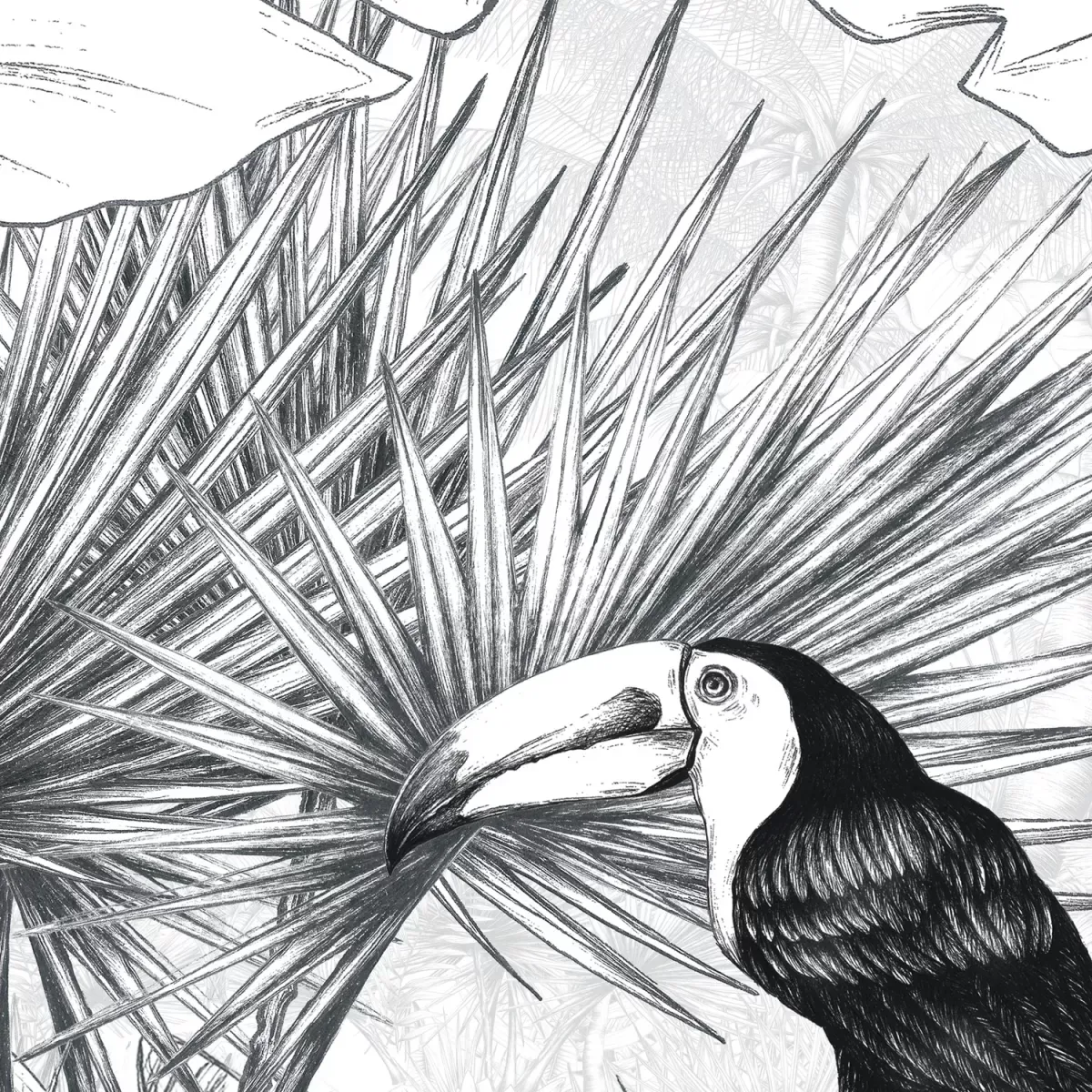 Illustration numéro 3 du produit Papier peint panoramique paysage tropical noir et blanc 225x250cm