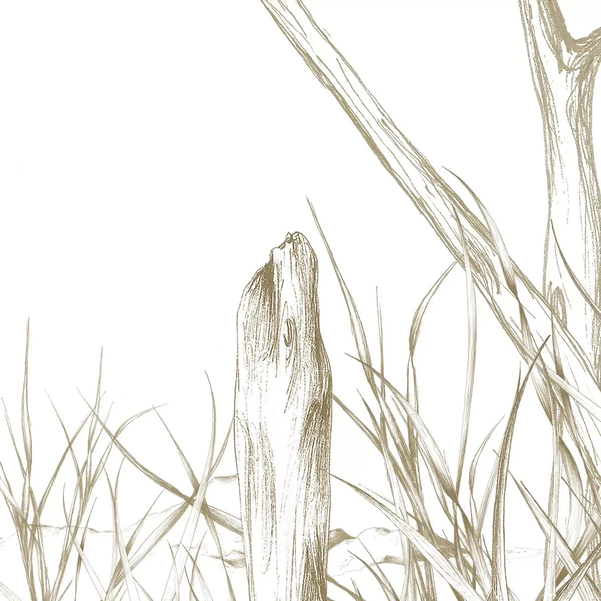 Illustration numéro 3 du produit Papier peint panoramique côtes sauvages brun 525x250cm