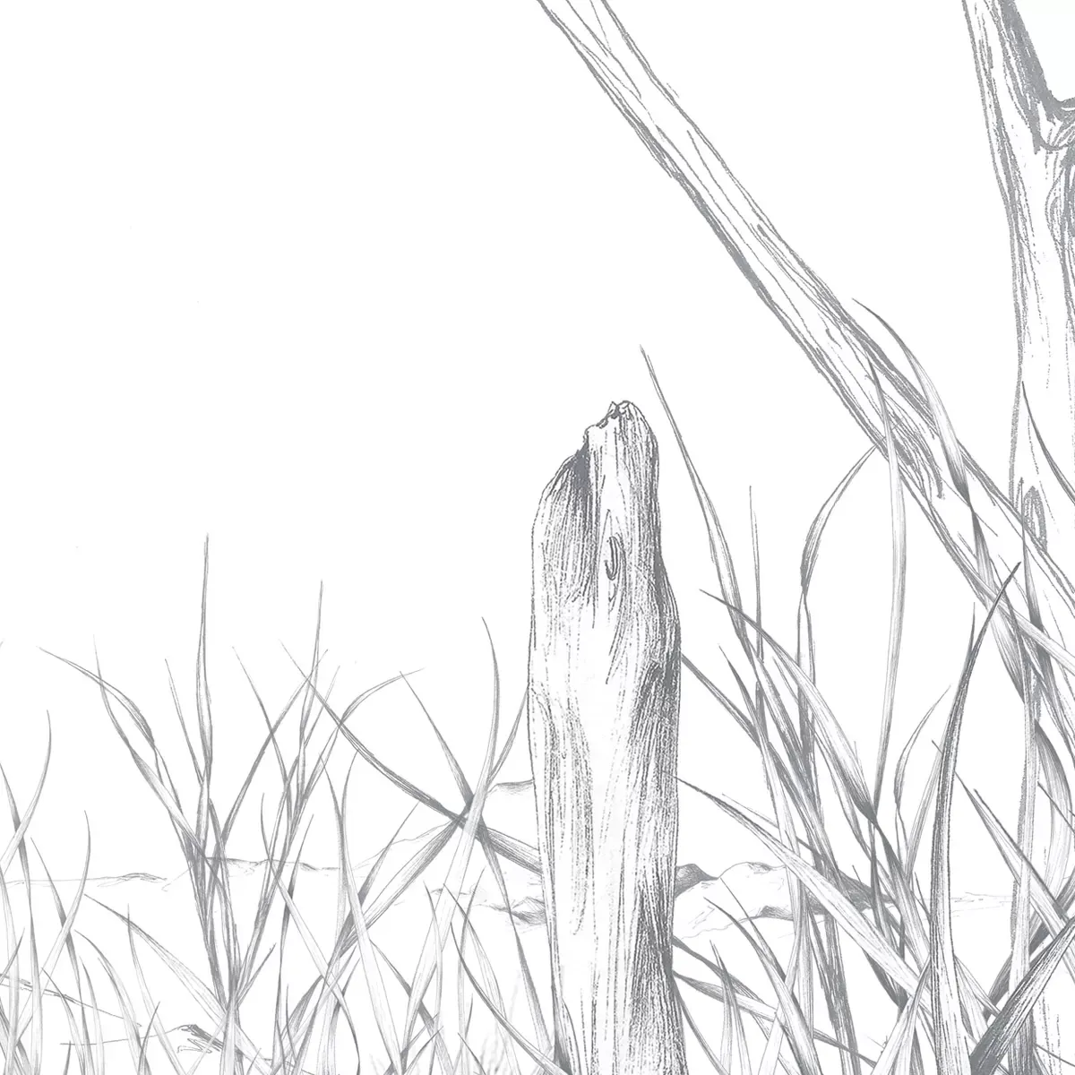 Illustration numéro 3 du produit Papier peint panoramique côtes sauvages gris 375x250cm