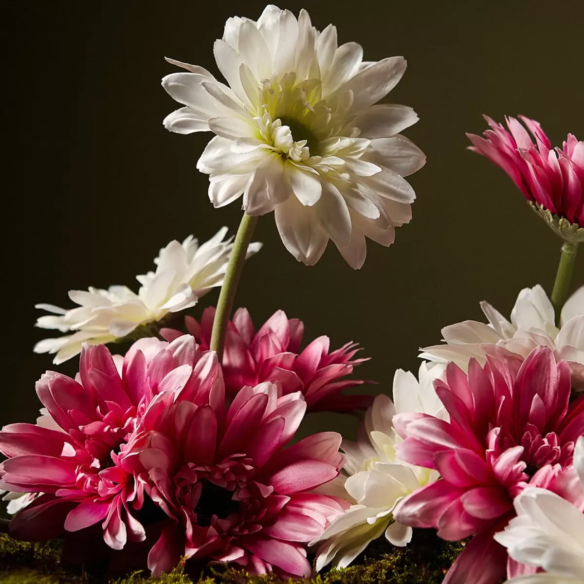 Illustration numéro 3 du produit Tige de gerbera artificielle blanche H59