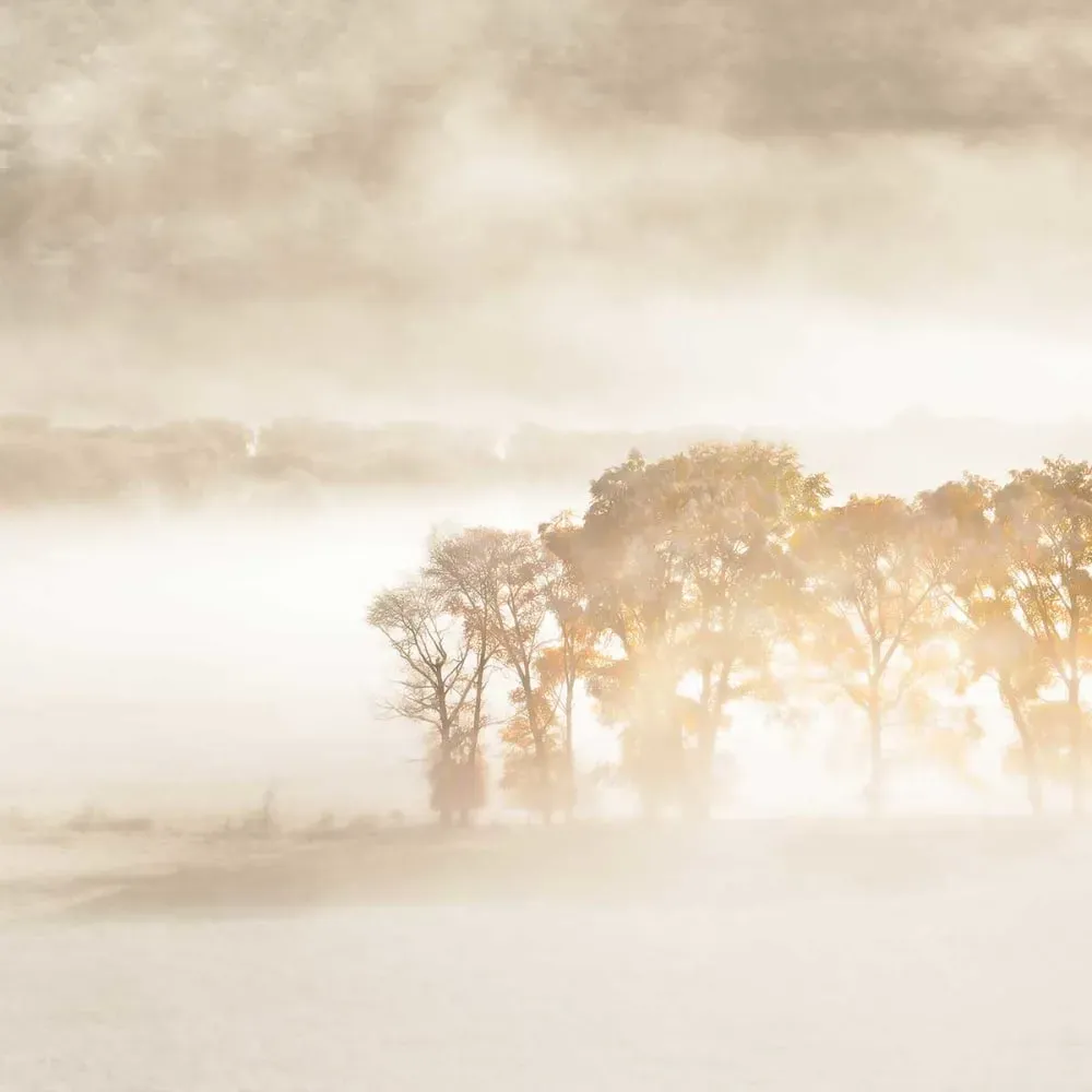 Illustration numéro 3 du produit Tableau terre du vent toile imprimée 120x80 cm