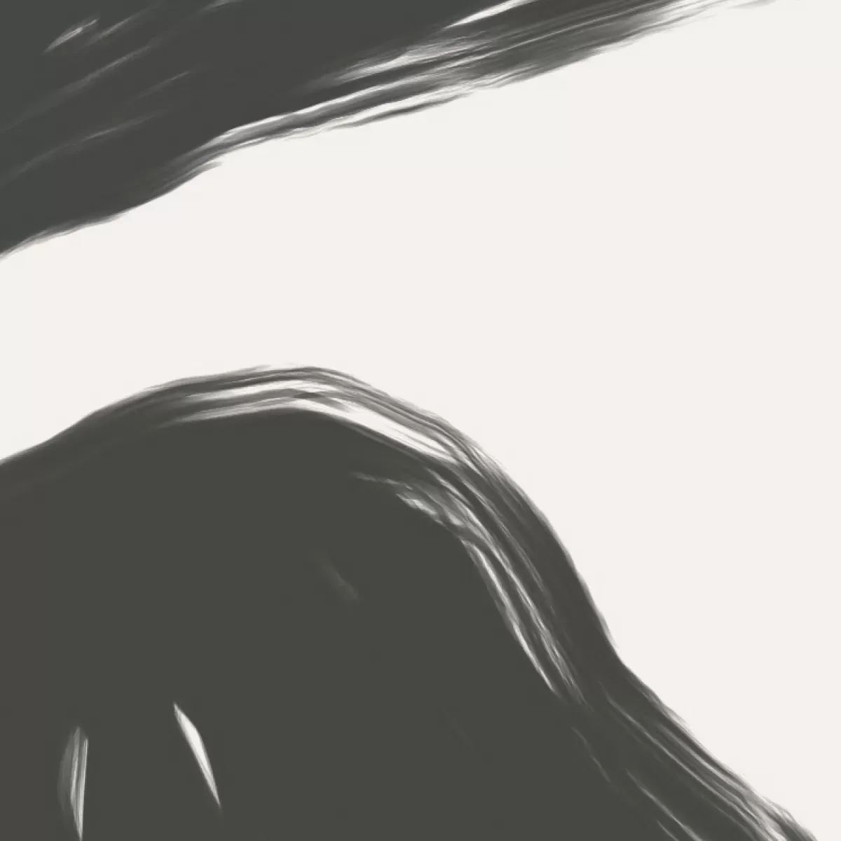 Illustration numéro 3 du produit Papier peint panoramique fauve gris foncé 300x250cm