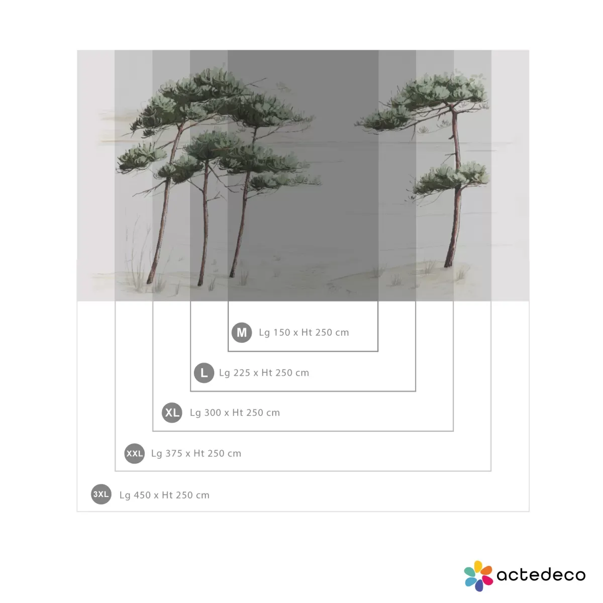 Illustration numéro 3 du produit Papier peint panoramique pins du bassin gris 150x250cm