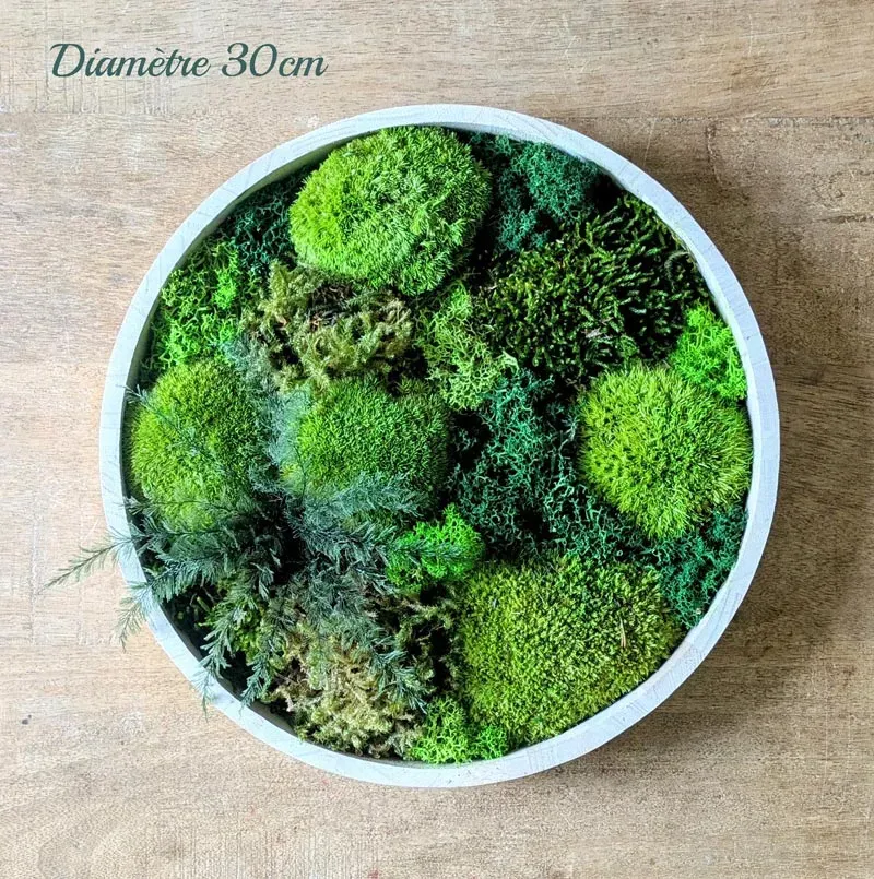 Illustration numéro 3 du produit Tableau végétal naturel rond en mousse stabilisée - Lot de 2- Canopé