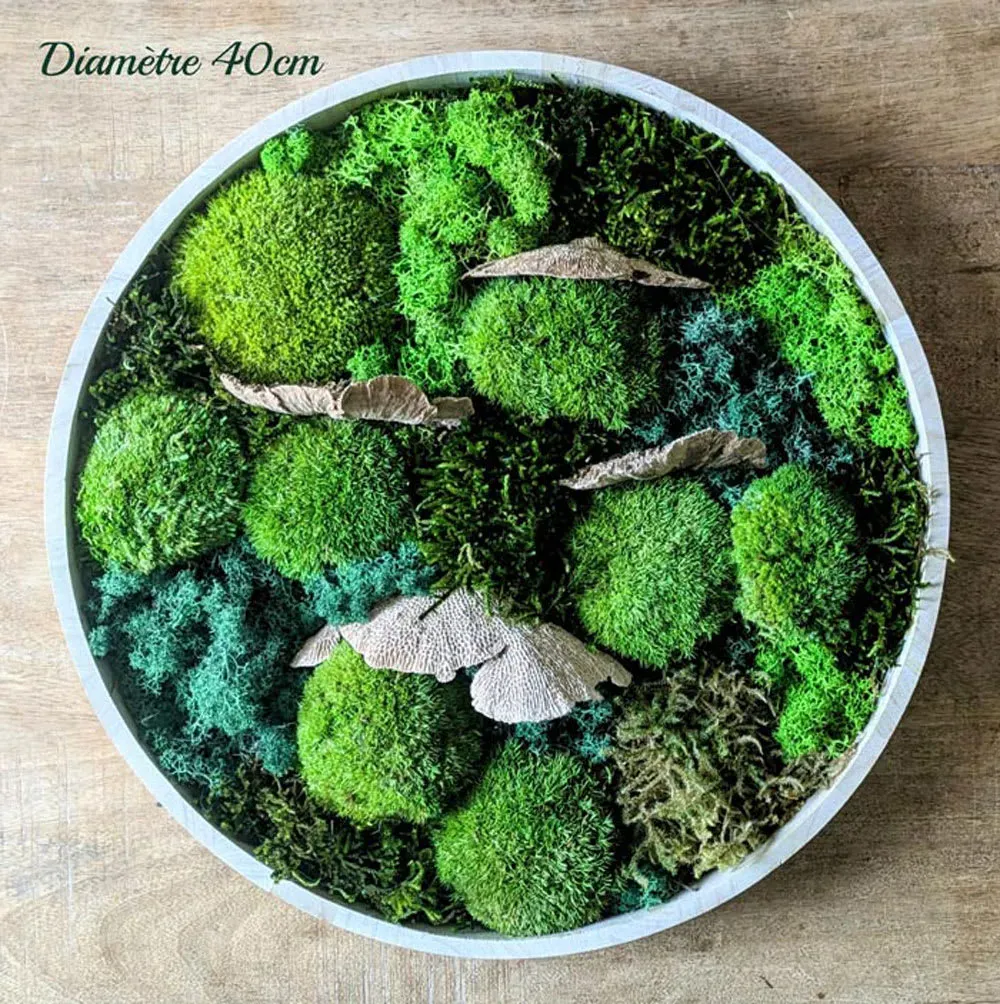 Illustration numéro 3 du produit Tableau végétal naturel rond mousse stabilisée - Lot de 2- Sous-bois