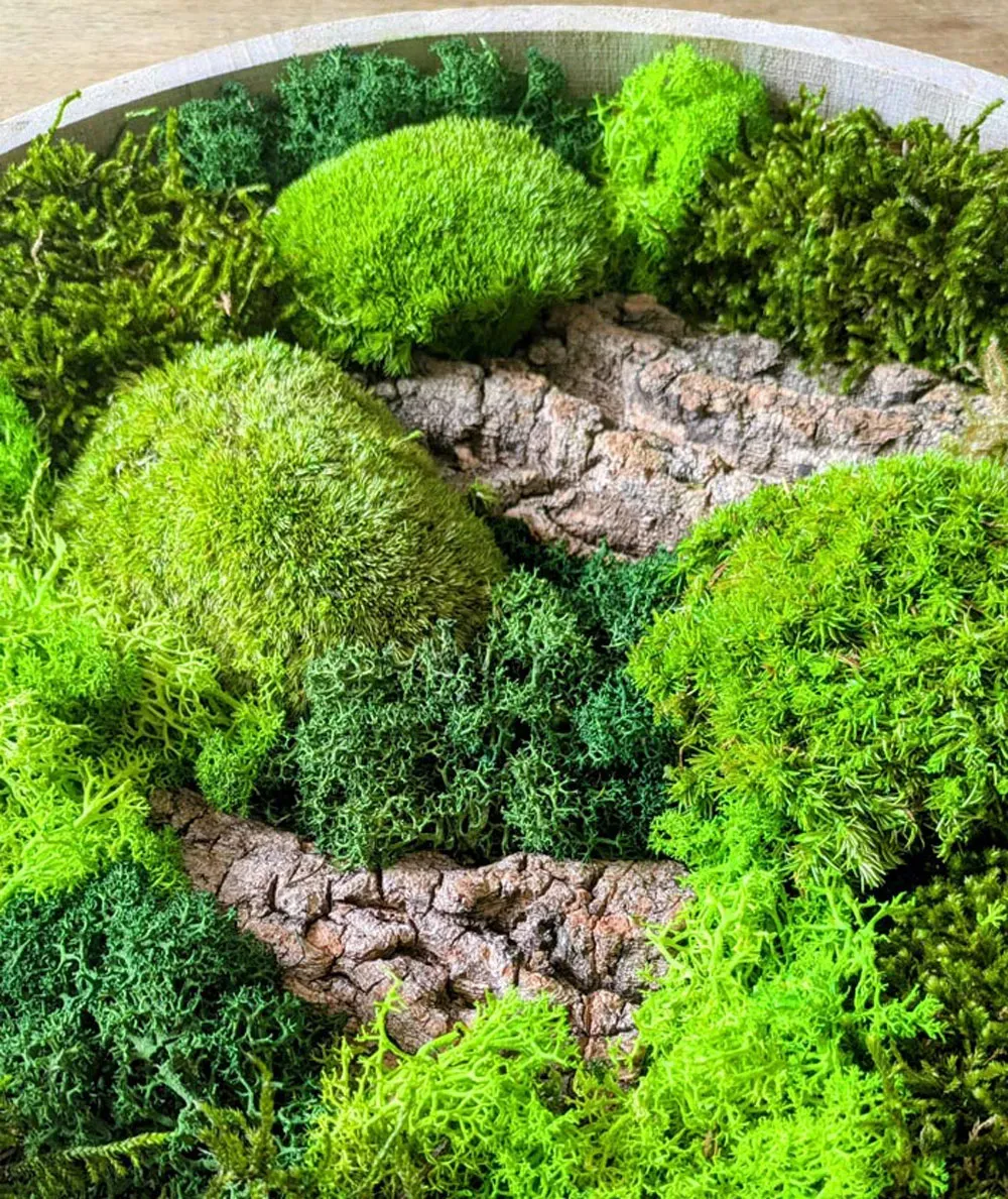 Illustration numéro 3 du produit Tableau végétal naturel rond en mousse stabilisée - Lot de 2- Forest