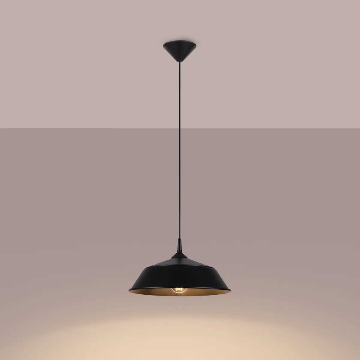 Illustration numéro 3 du produit Suspension Acier Noir E27 1 Frika