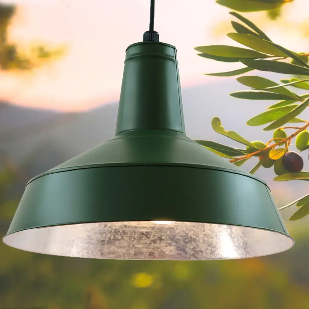 Illustration numéro 3 du produit Suspension extérieur en acier galvanisé vert D.38cm
