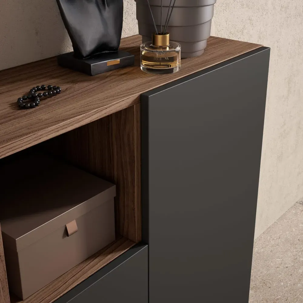 Illustration numéro 3 du produit Meuble à chaussures en mélamine noyer portes graphite 87x90x27 cm