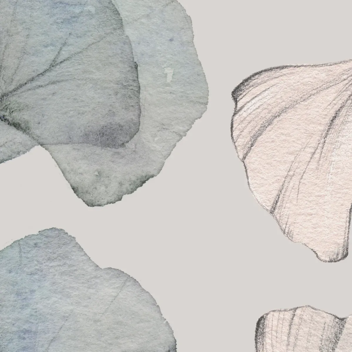 Illustration numéro 3 du produit Papier peint panoramique esprit gingko gris 450x250cm