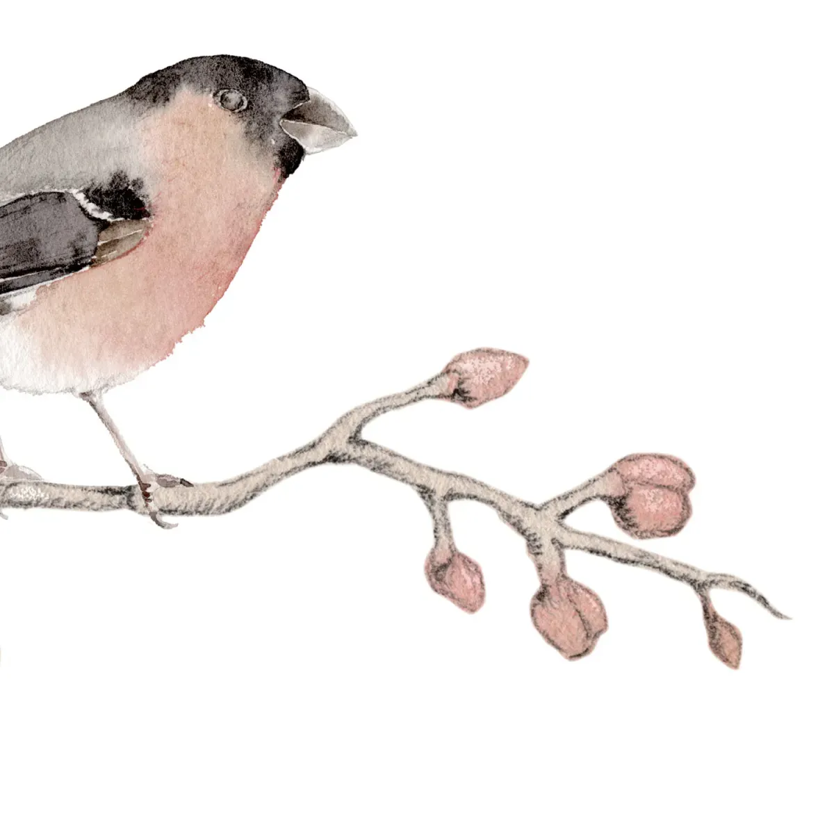 Illustration numéro 3 du produit Papier peint panoramique cerisier beige 225x250cm