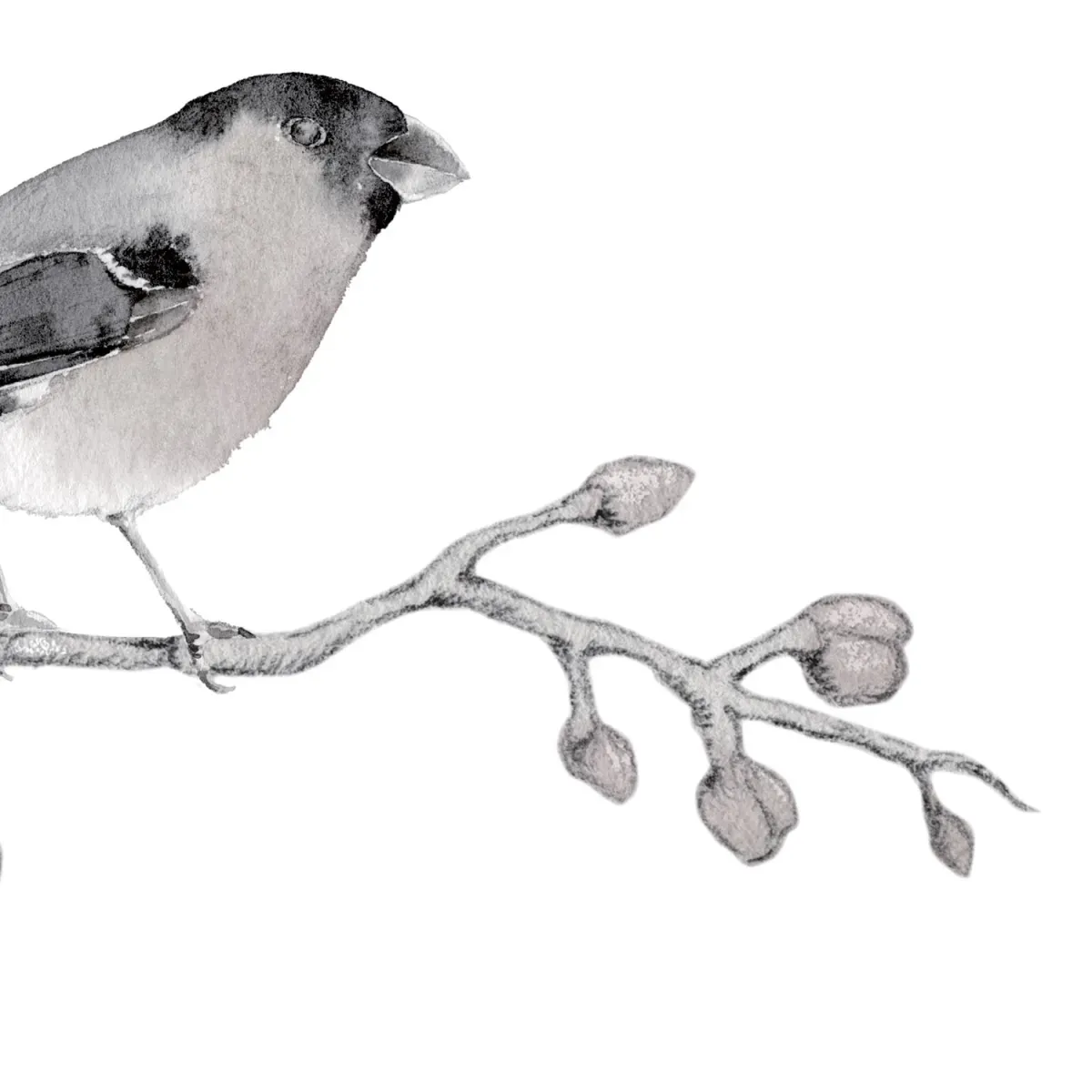 Illustration numéro 3 du produit Papier peint panoramique cerisier gris 225x250cm