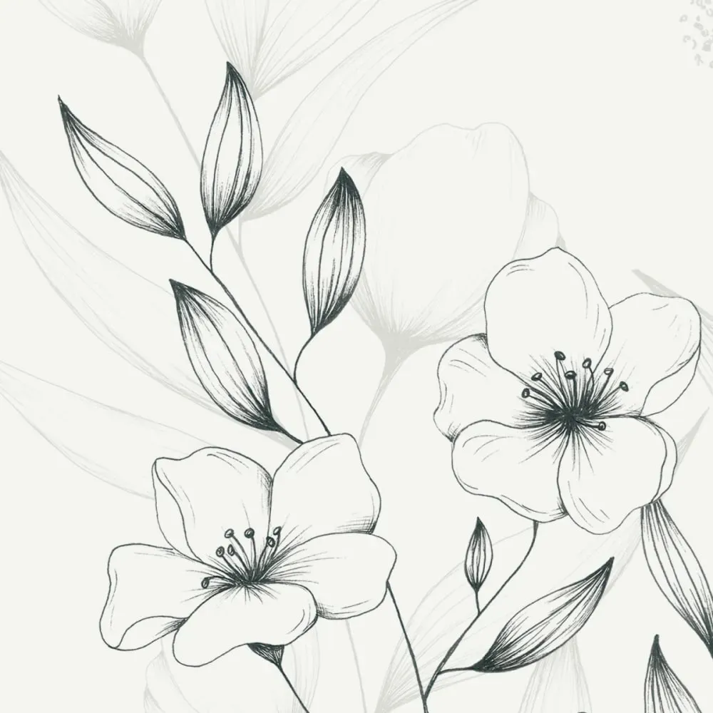 Illustration numéro 3 du produit Papier peint panoramique poésie végétale noir et blanc 525x250cm