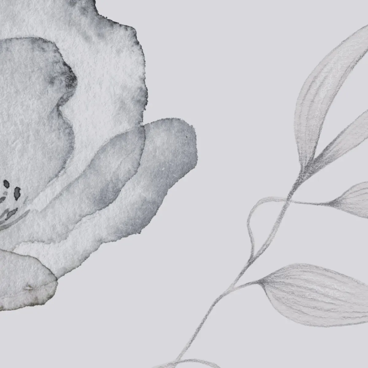 Illustration numéro 3 du produit Papier peint panoramique souffle de légèreté gris 525x250cm