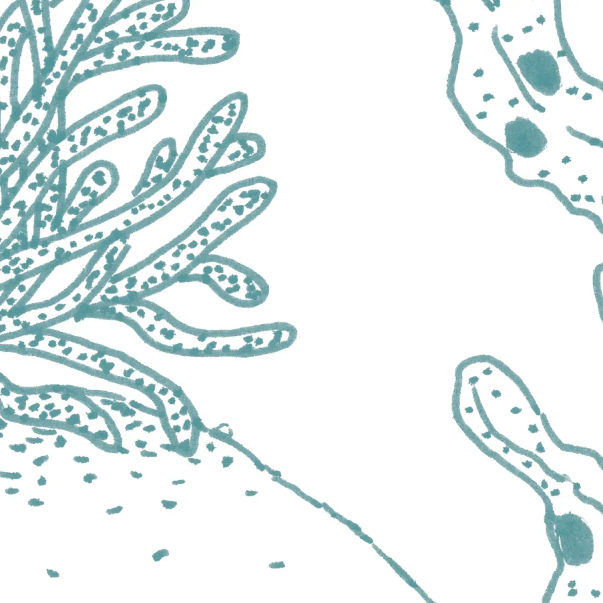 Illustration numéro 3 du produit Papier peint panoramique enfant jardin sous-marin vert 150x250cm