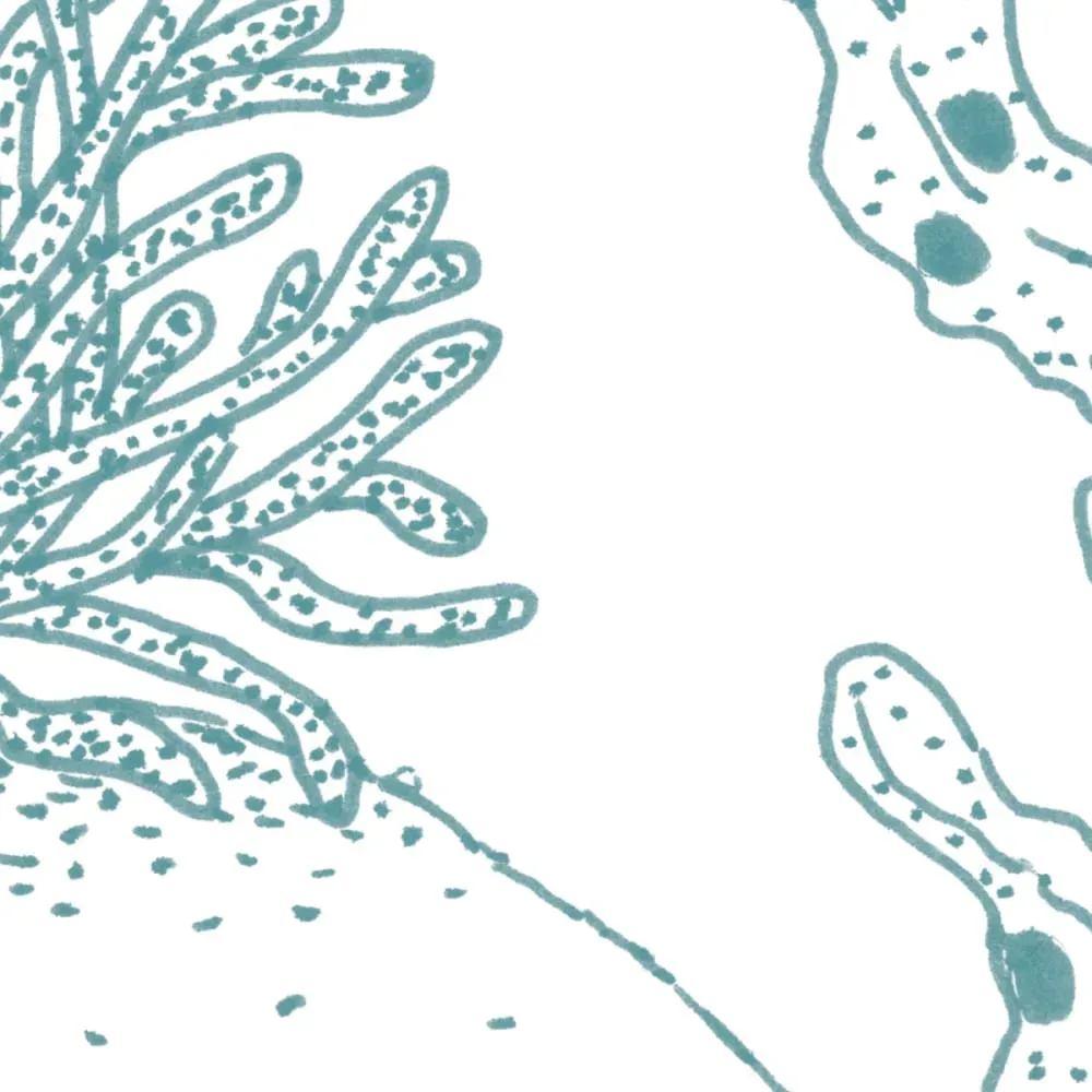 Illustration numéro 3 du produit Papier peint panoramique enfant jardin sous-marin vert 300x250cm