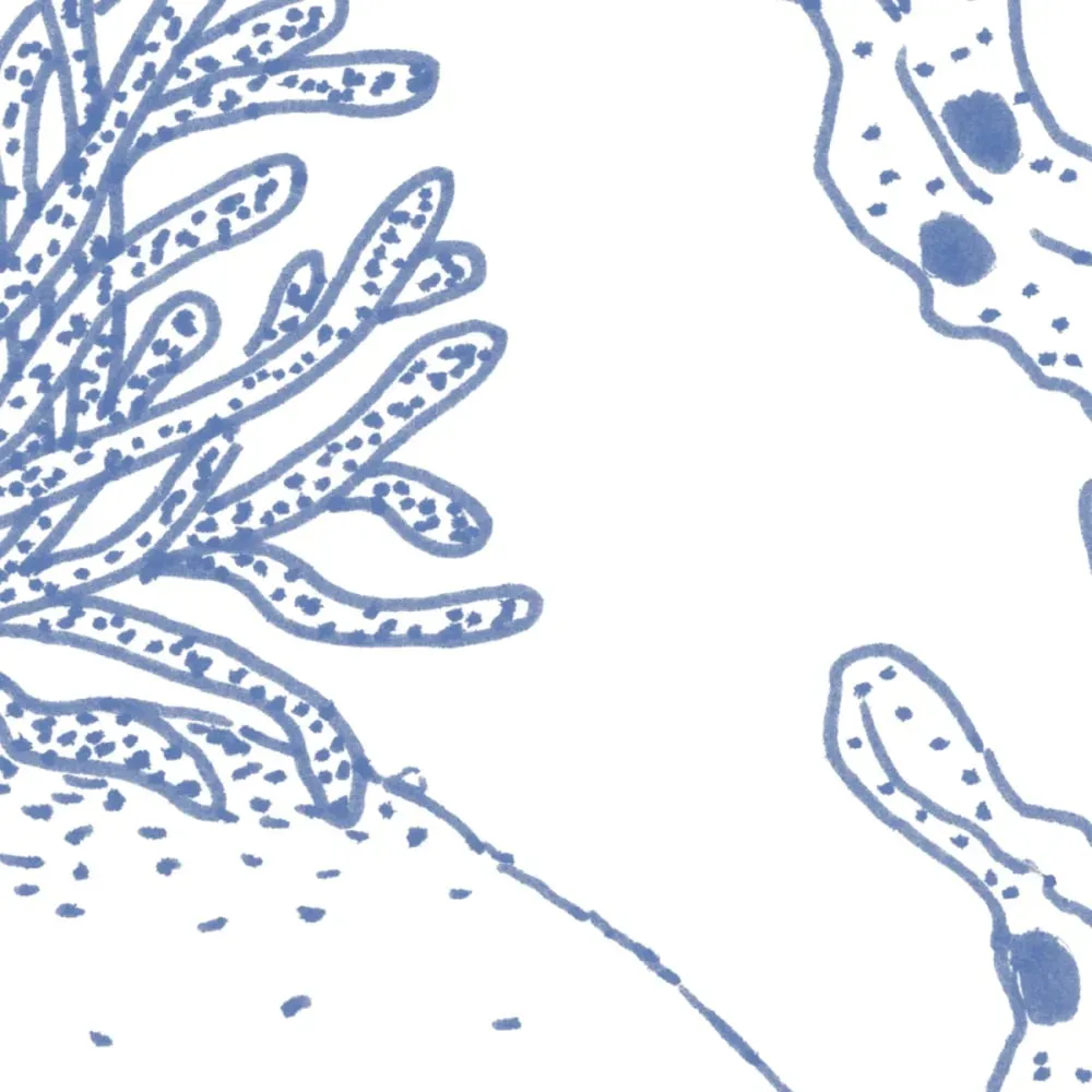 Illustration numéro 3 du produit Papier peint panoramique enfant jardin sous-marin bleu 150x250cm