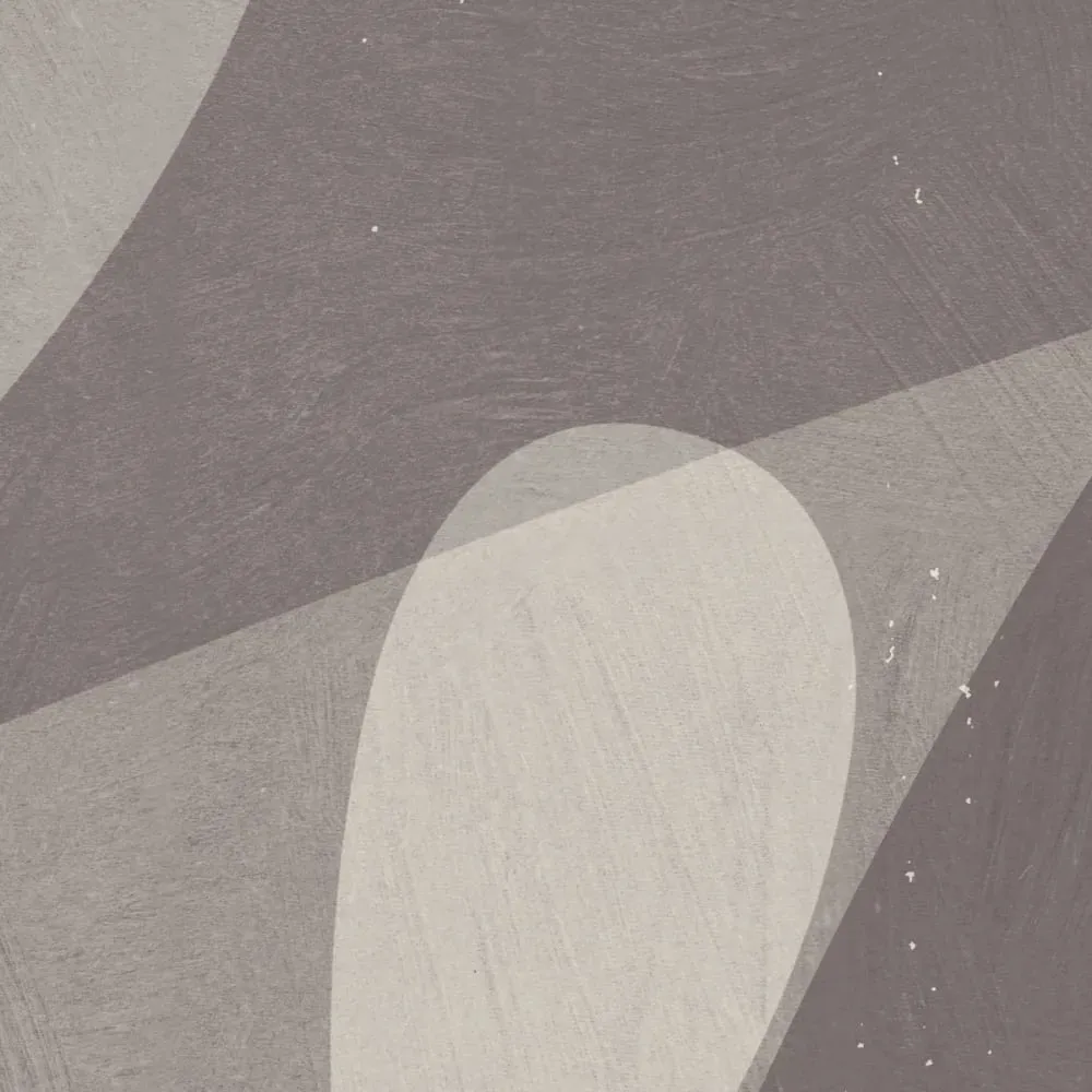 Illustration numéro 3 du produit Papier peint panoramique cactus gris foncé 375x250cm