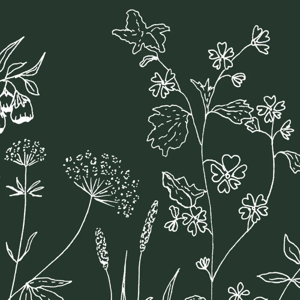 Illustration numéro 3 du produit Papier peint panoramique sous la canopée vert foncé 525x250cm