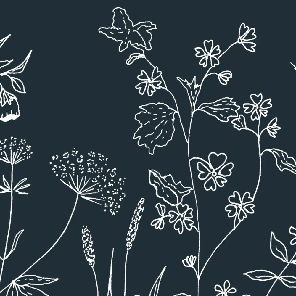 Illustration numéro 3 du produit Papier peint panoramique sous la canopée bleu 450x250cm