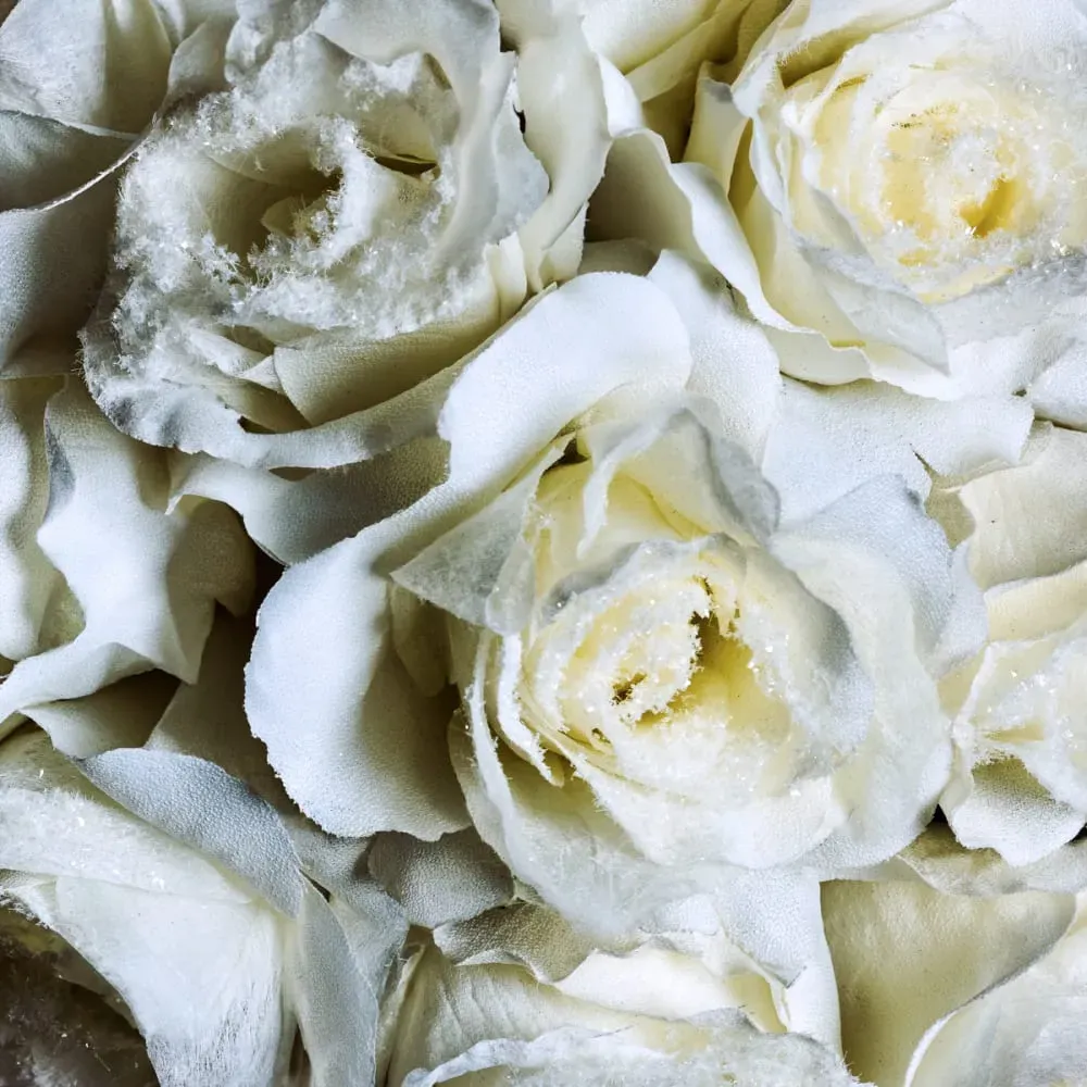 Illustration numéro 3 du produit Tige de rose artificielle enneigée fermée blanche H28