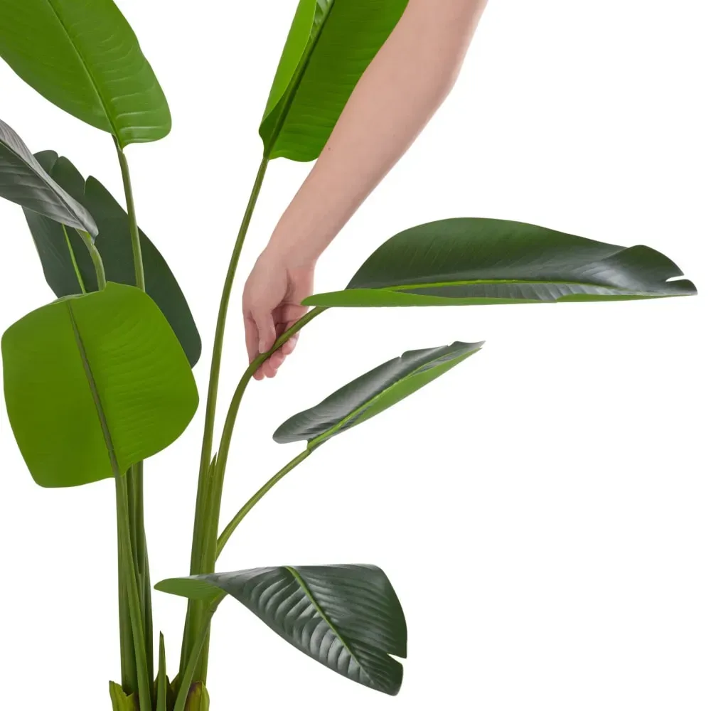 Illustration numéro 3 du produit Arbre oiseau du paradis avec feuilles PEVA écologiques 160cm