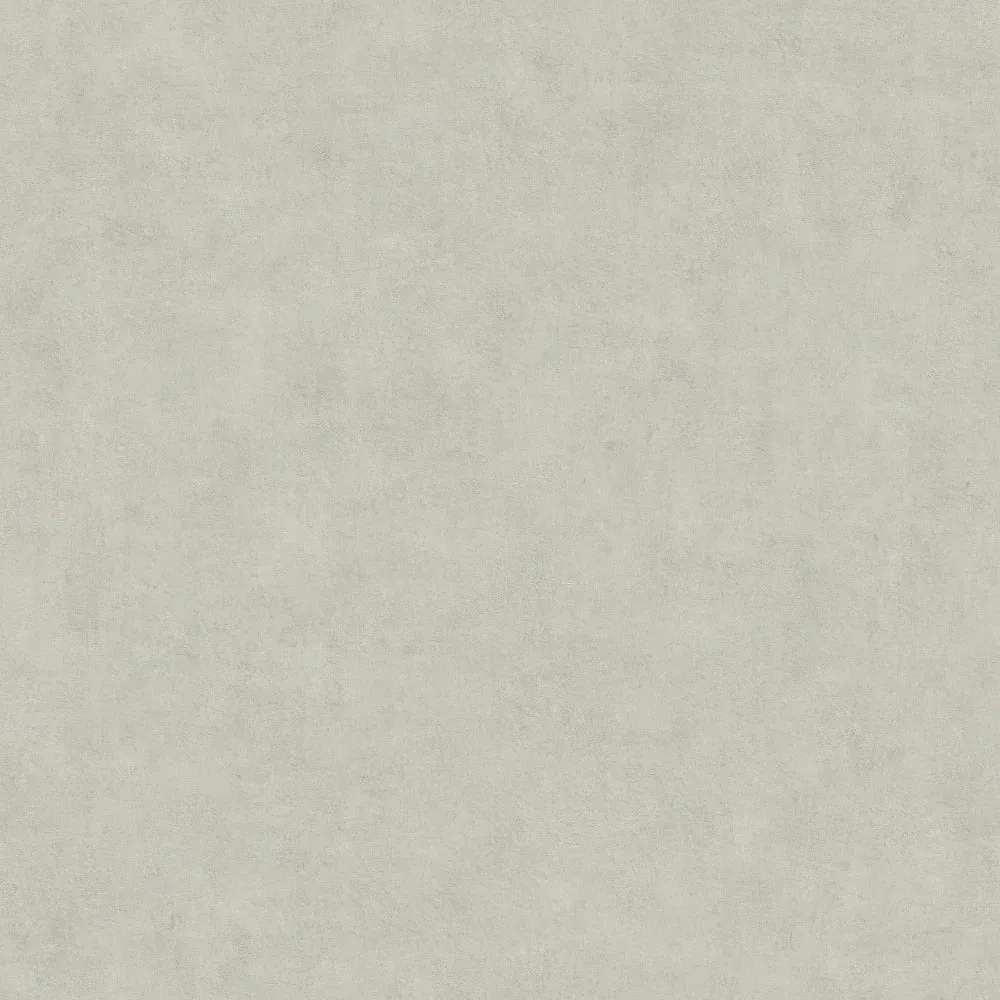 Illustration numéro 3 du produit Papier peint béton ciré beige 1005x52cm