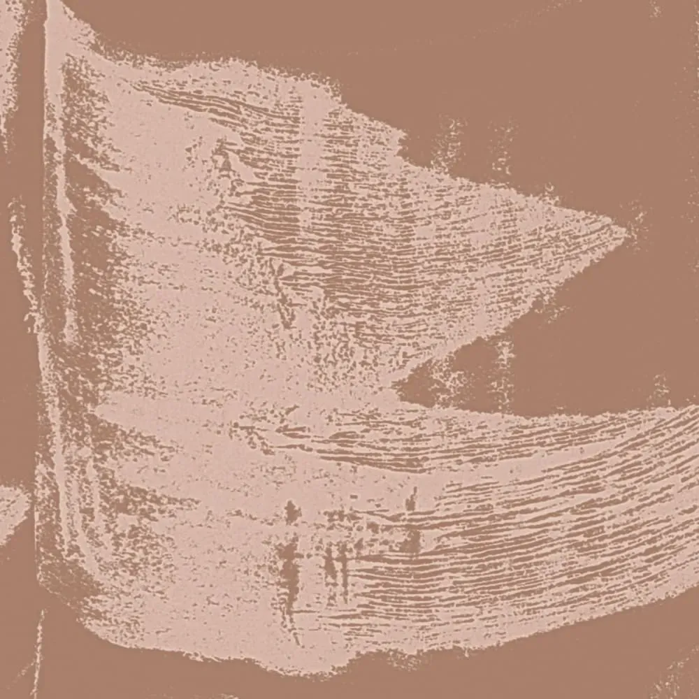 Illustration numéro 3 du produit Papier peint panoramique graphique brun 150x250cm