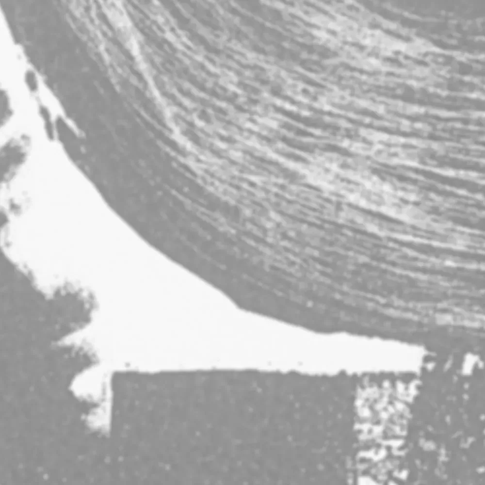 Illustration numéro 3 du produit Papier peint panoramique graphique gris 150x250cm