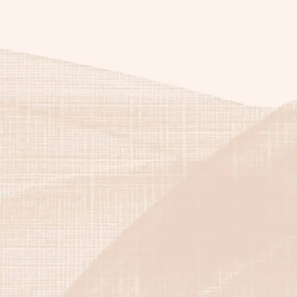 Illustration numéro 3 du produit Papier peint panoramique graphique beige 375x250cm