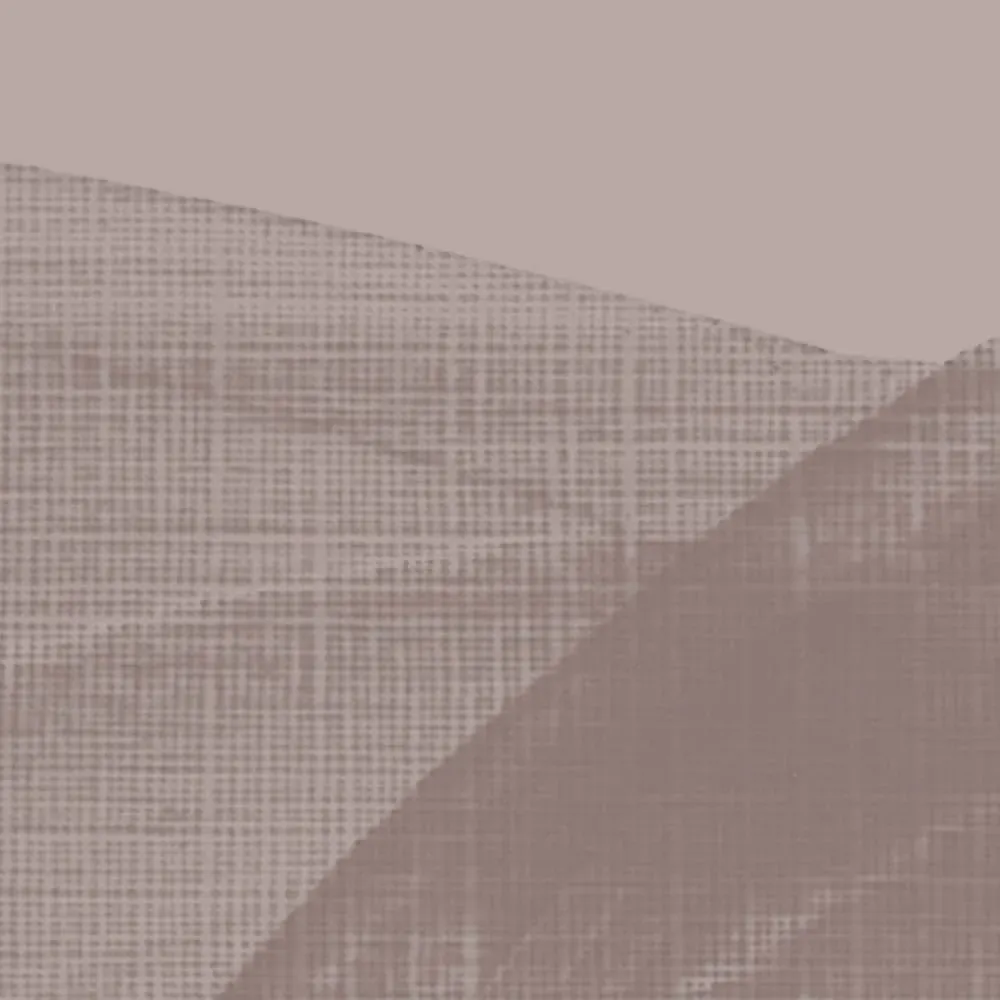 Illustration numéro 3 du produit Papier peint panoramique graphique brun 300x250cm