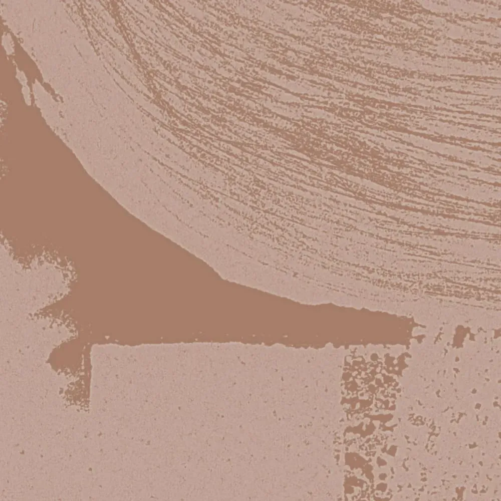 Illustration numéro 3 du produit Papier peint panoramique graphique brun 300x250cm