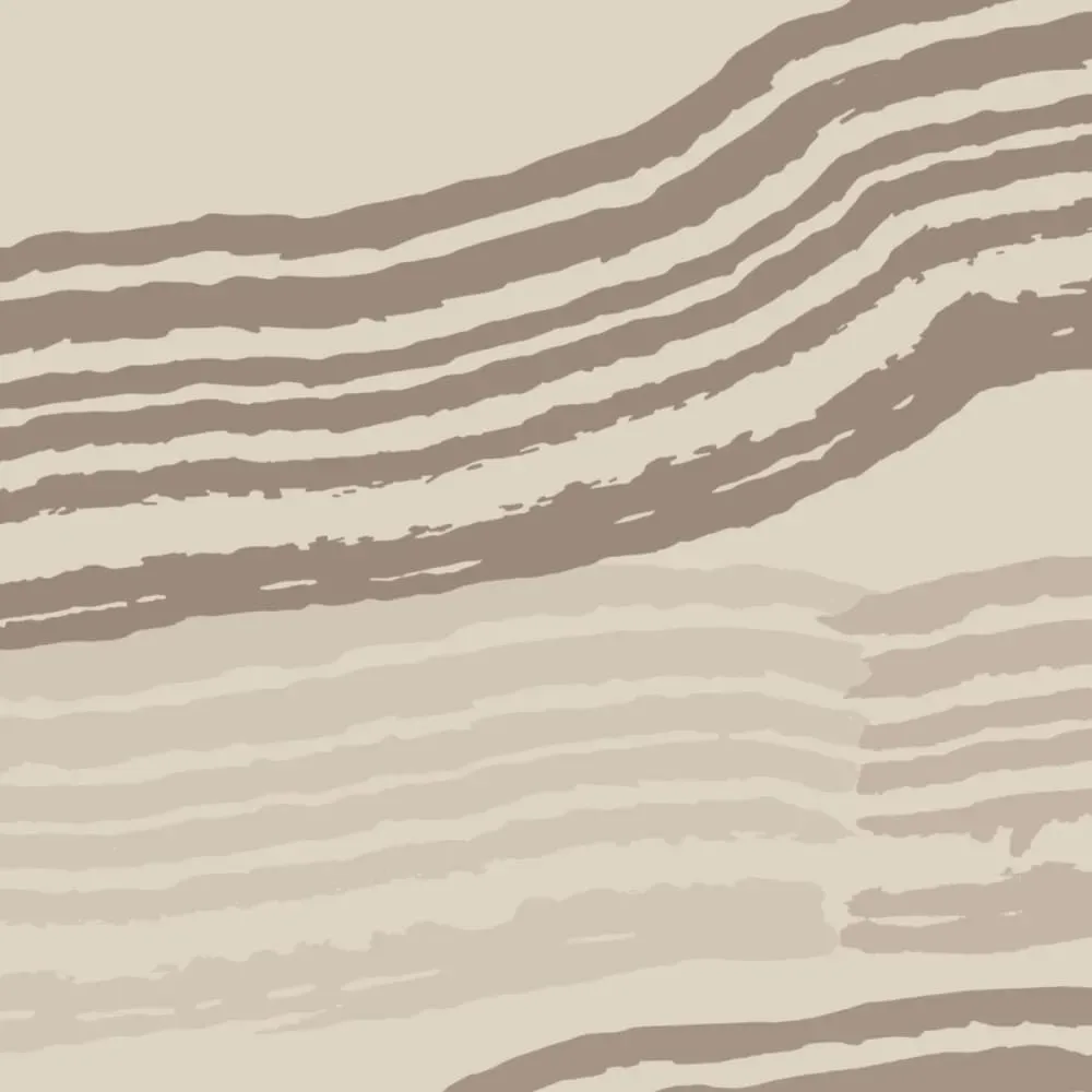 Illustration numéro 3 du produit Papier peint panoramique paysage graphique beige 375x250cm