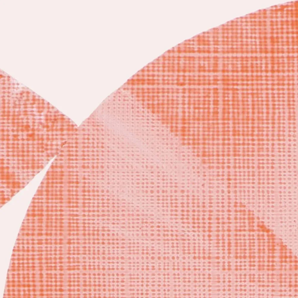 Illustration numéro 3 du produit Papier peint panoramique graphique rouge 150x250cm