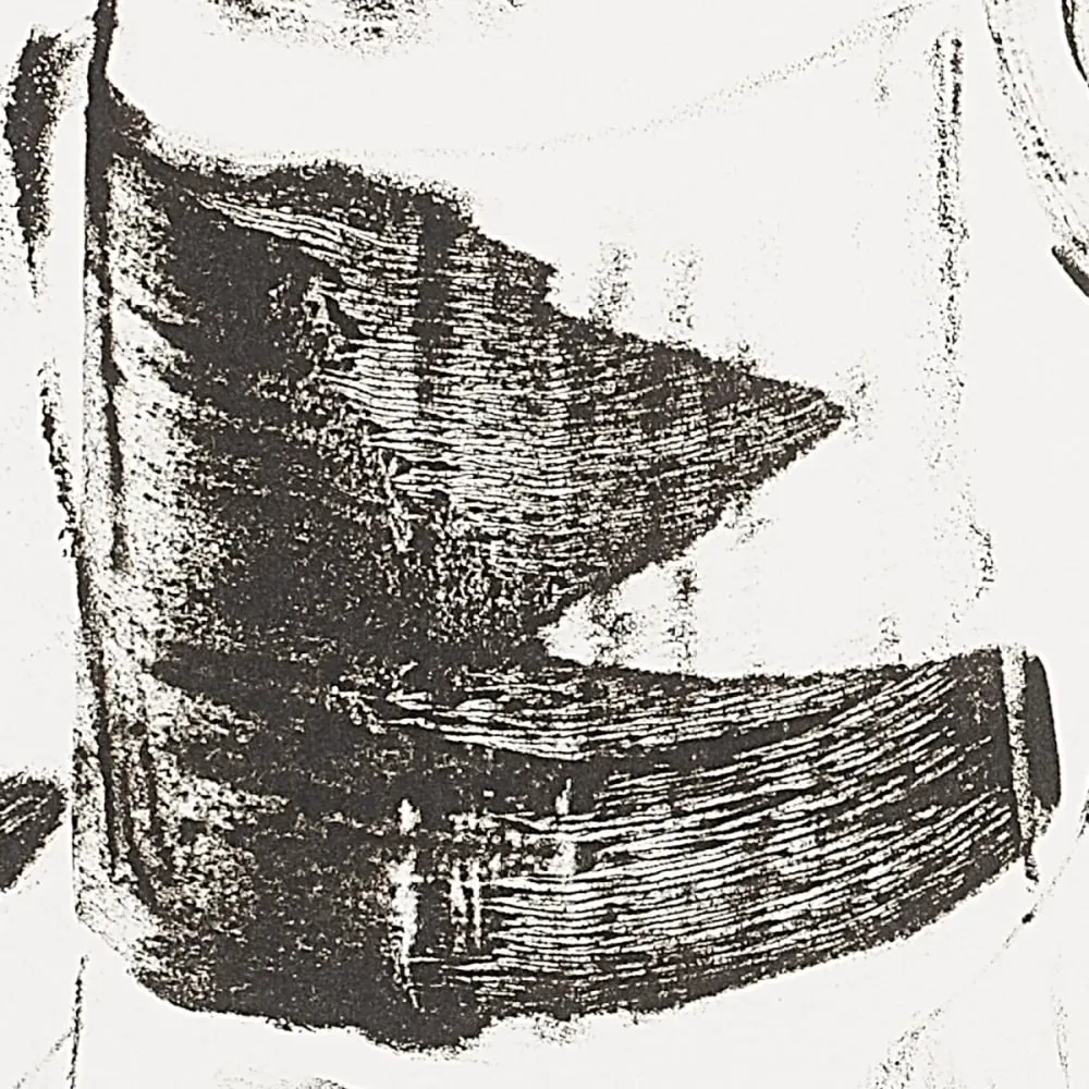 Illustration numéro 3 du produit Papier peint panoramique graphique noir 150x250cm