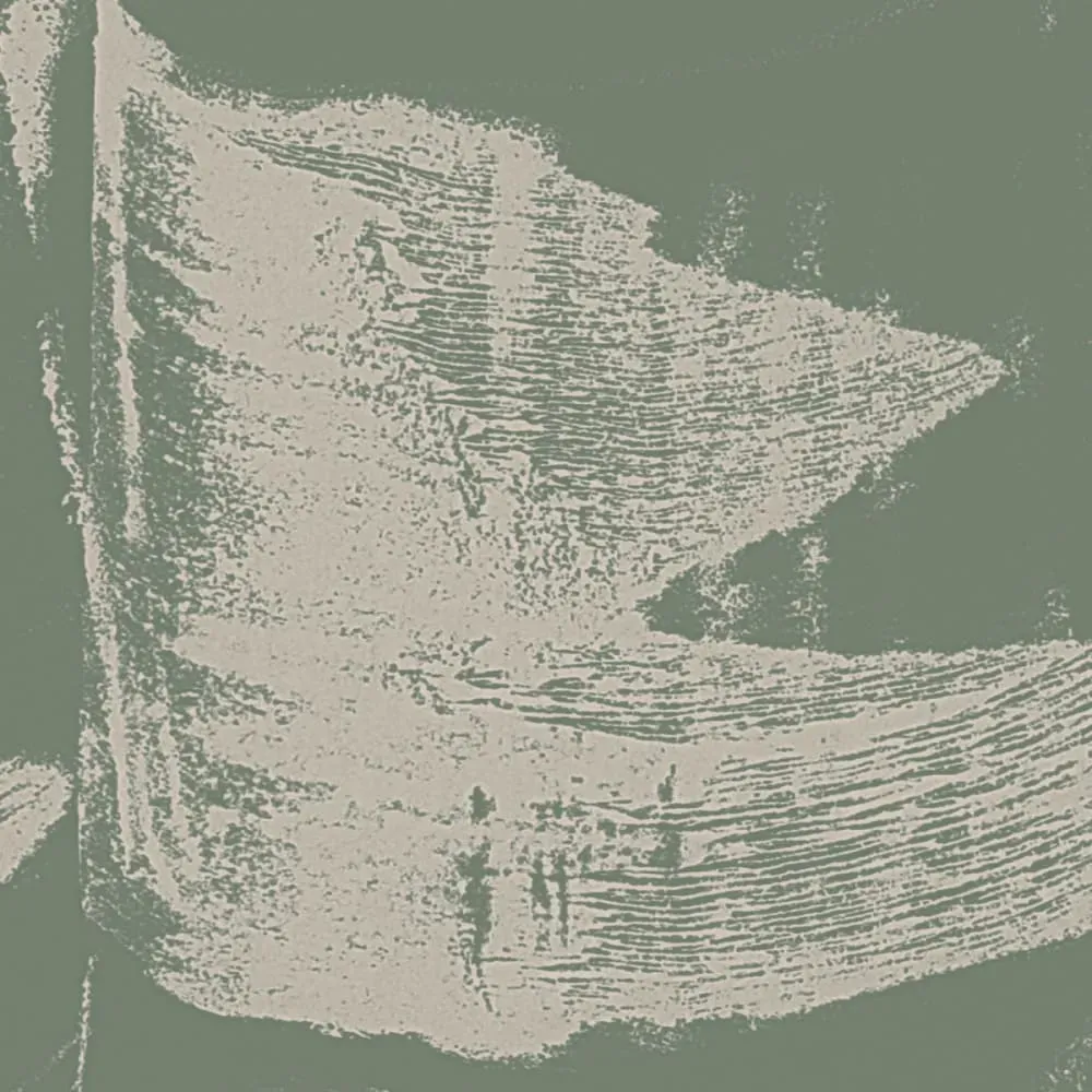 Illustration numéro 3 du produit Papier peint panoramique graphique gris 225x250cm