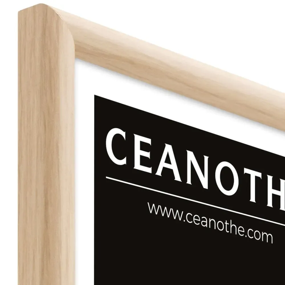 Illustration numéro 3 du produit Cadre photo exposition brut 20x30 cm bois massif fsc