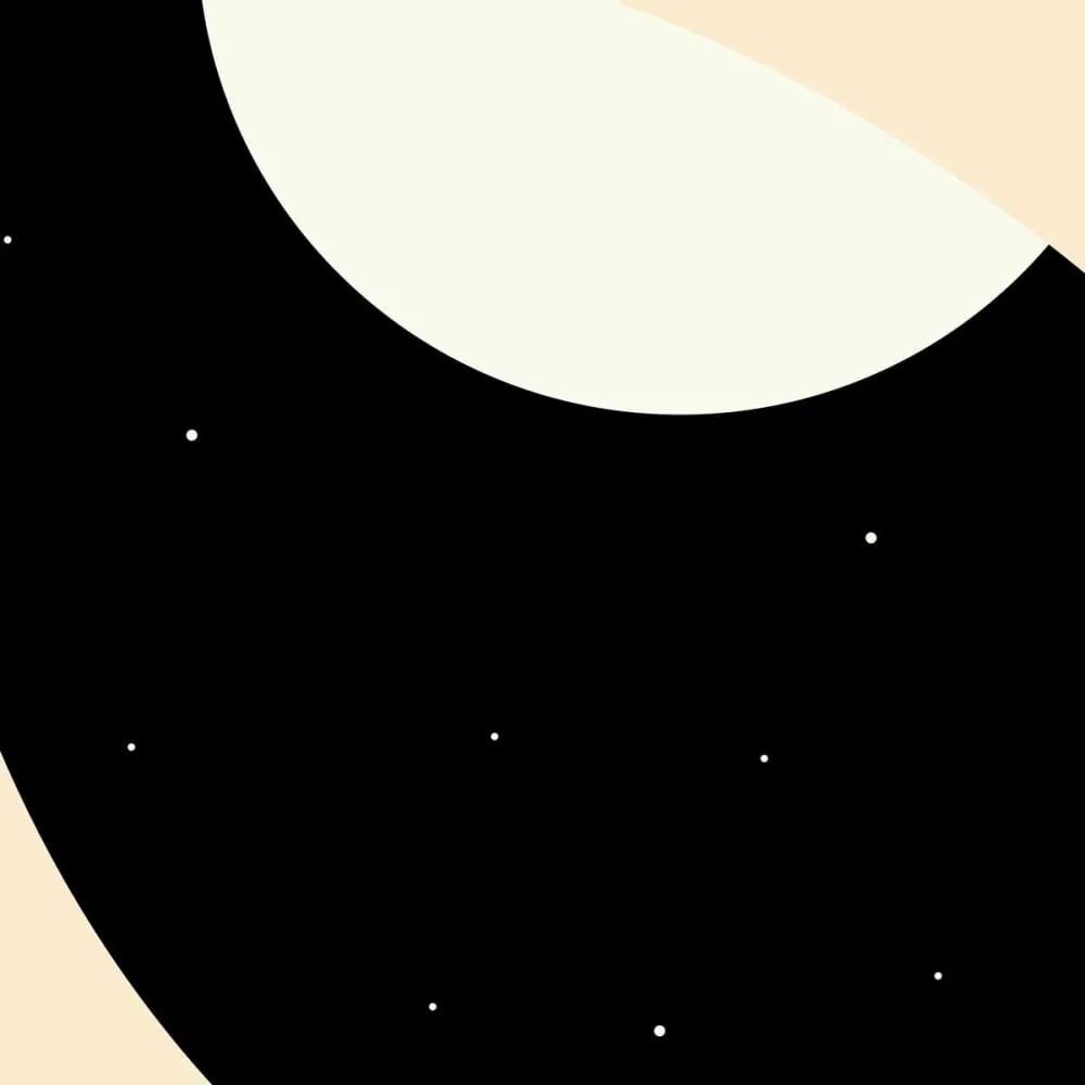 Illustration numéro 3 du produit Tableau toucan imprimé sur toile 40x60 cm