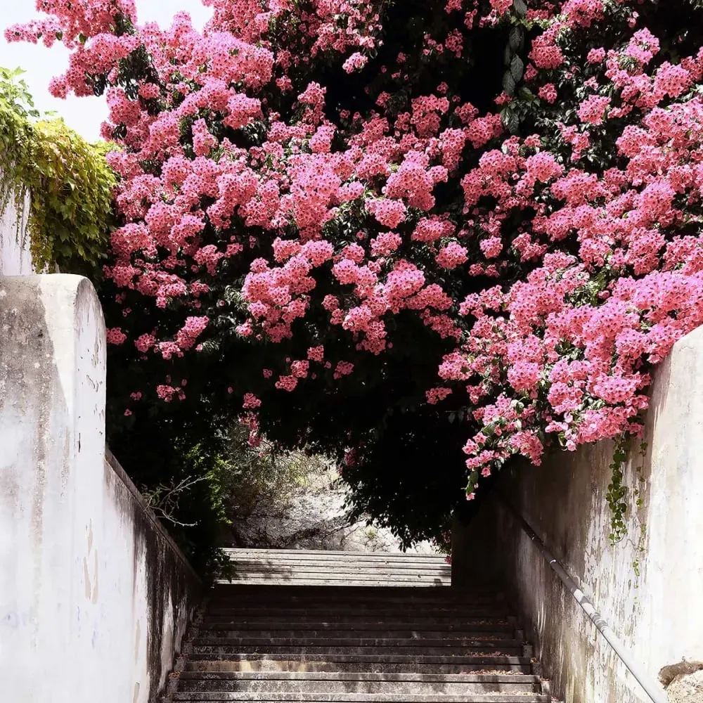 Illustration numéro 3 du produit Tableau Portugal imprimé sur toile 60x90 cm